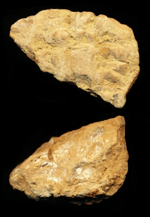 N6847
