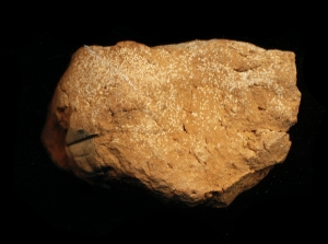 N6850