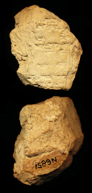 N6851
