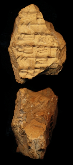 N6854