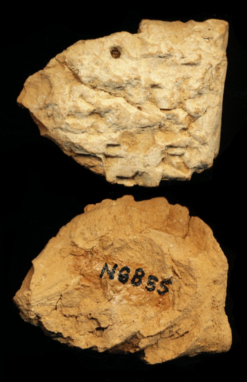 809794