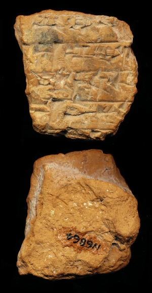 N6864