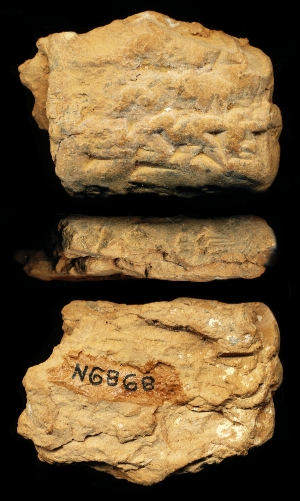 N6868