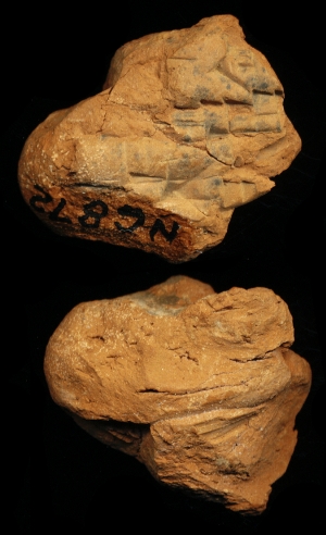 N6872