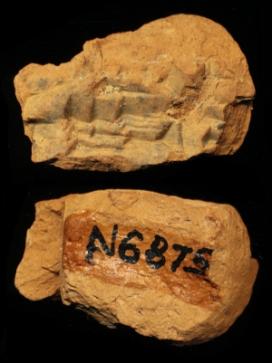 N6875