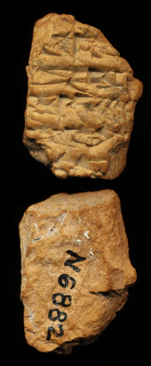 N6882