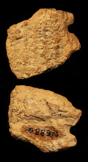 N6886