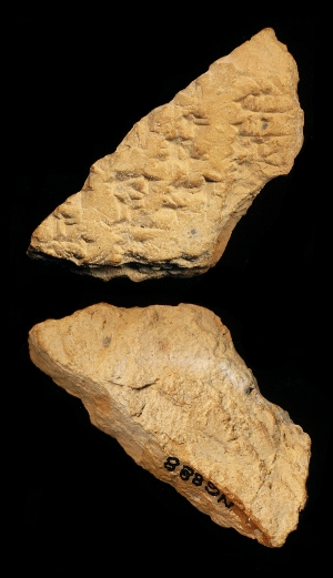 N6888