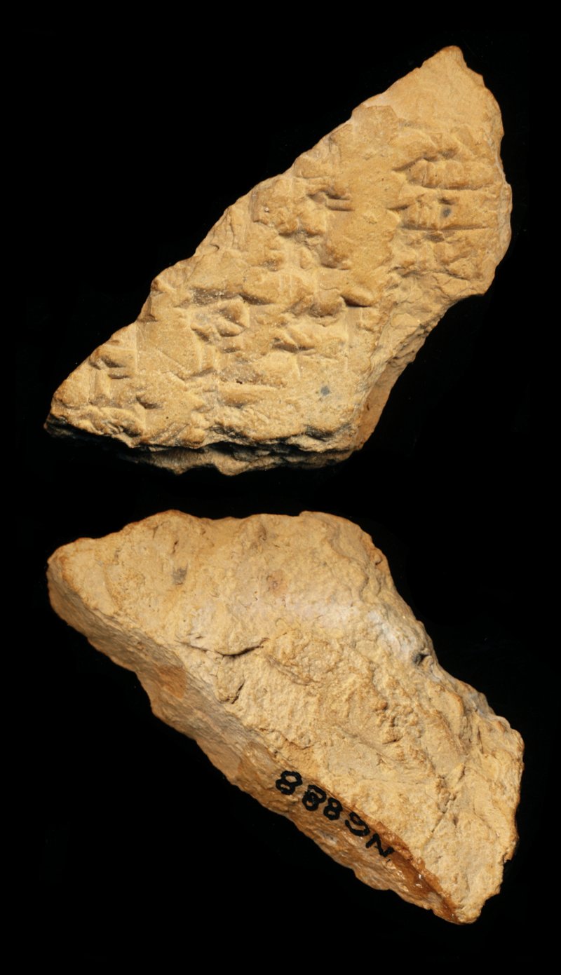 809816