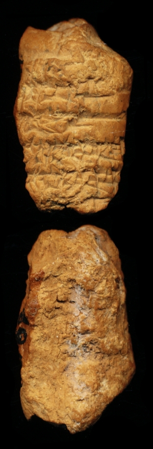 N6892