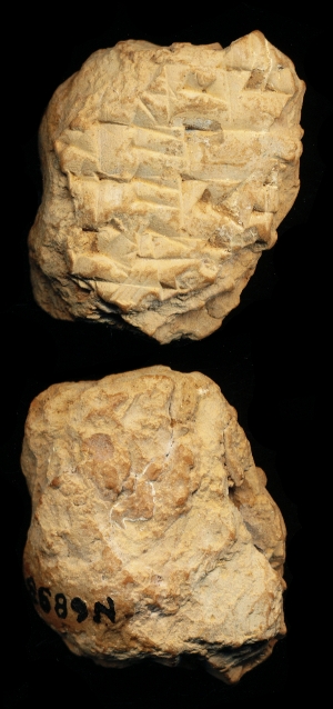 N6893
