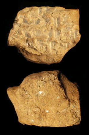 N6894