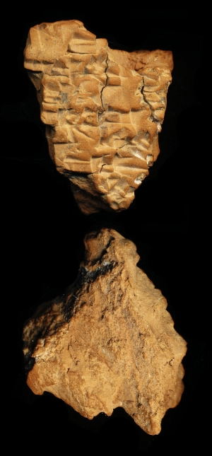 N6895