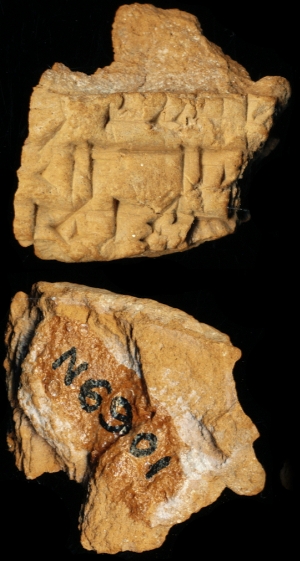 N6901