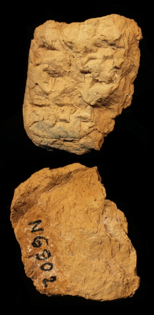 N6902