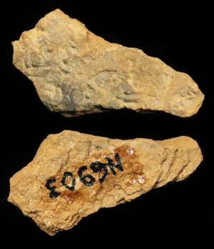 N6903