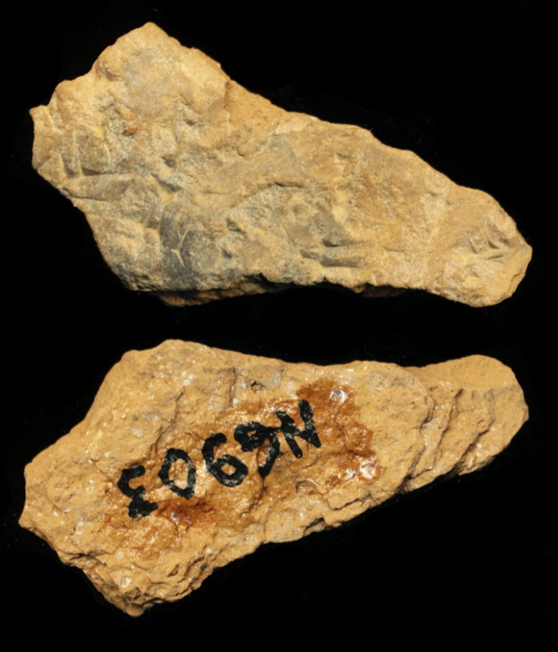 809827