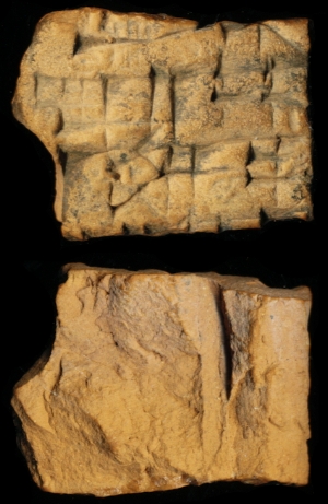N6904