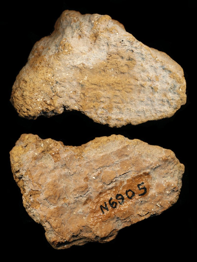 809829