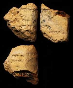 N6906