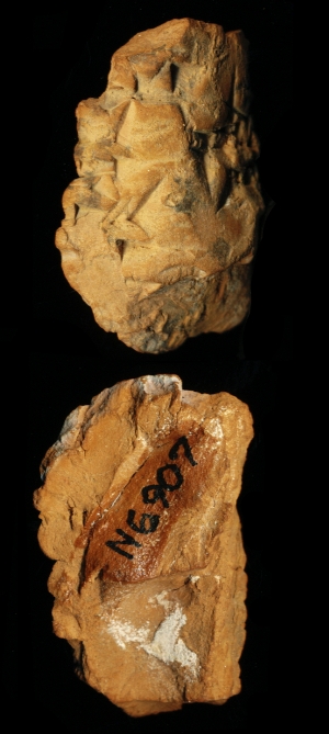 N6907