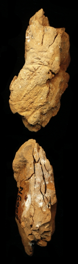 N6909