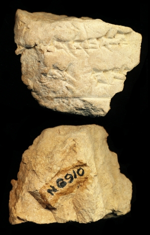 N6910