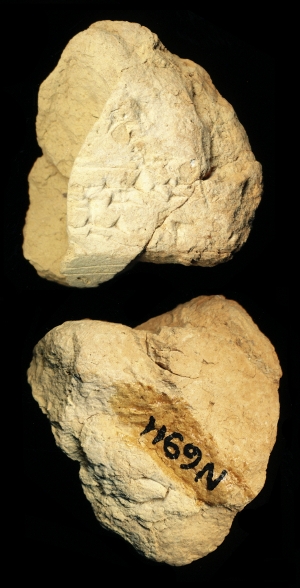 N6911