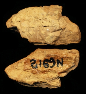 N6912