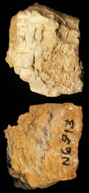 N6913