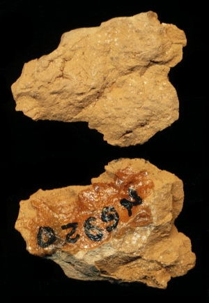 N6920