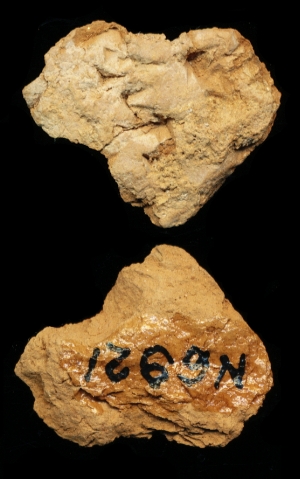 N6921