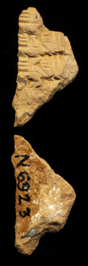 N6923