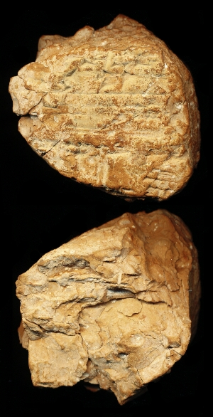 N6925