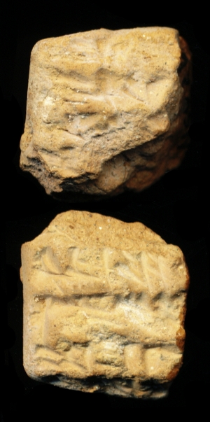 N6928