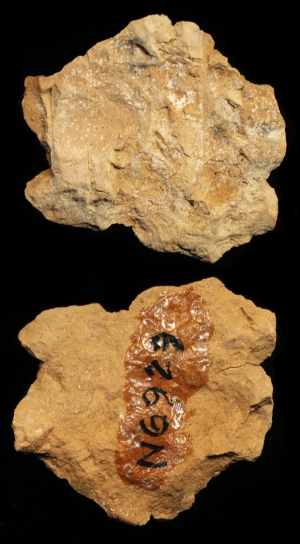 N6929