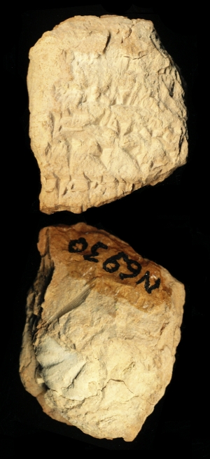 N6930