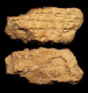 N6933