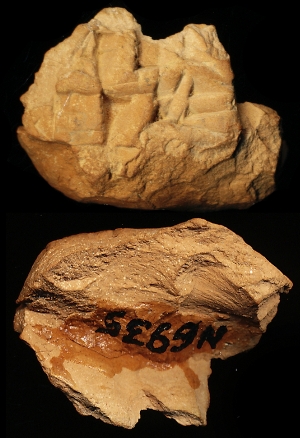 N6935