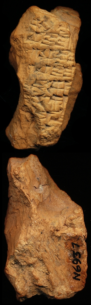 N6937