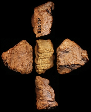 N6938