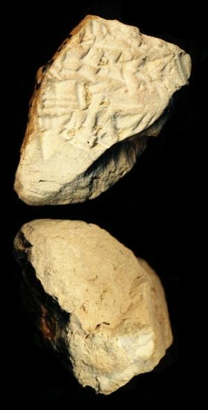 N6941