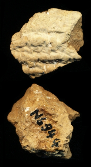 N6944