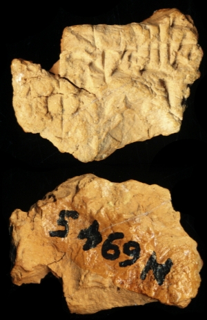 N6945