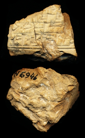 N6946