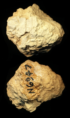 N6947