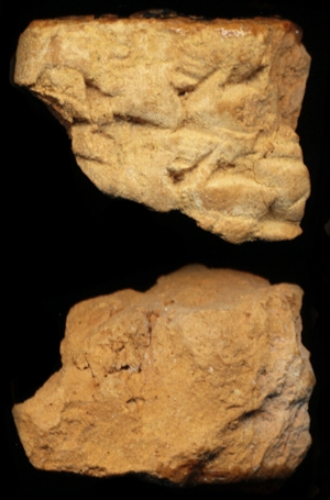 N6950