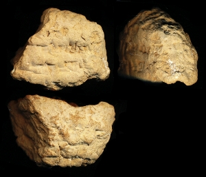 N6951