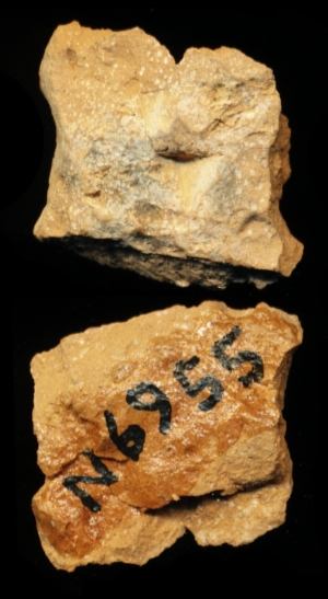 N6955