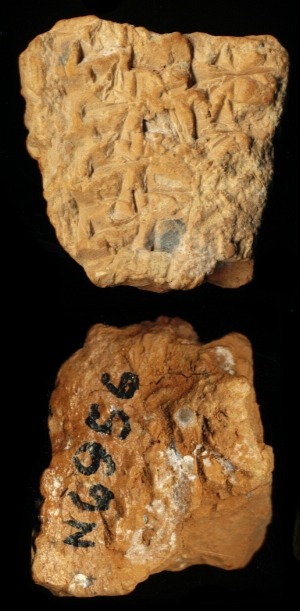 N6956